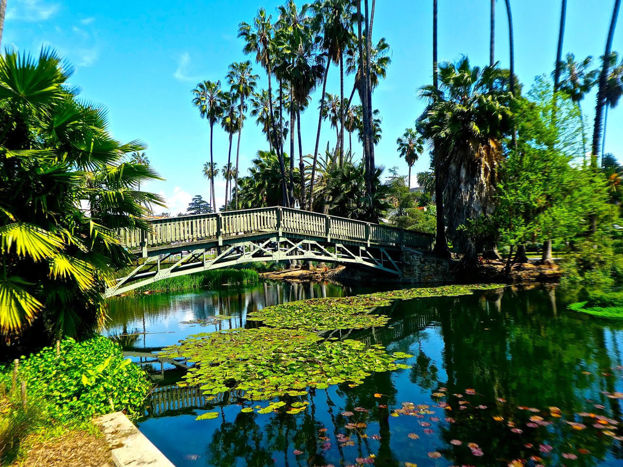 echo park lake bridge sandy driscoll.jpg